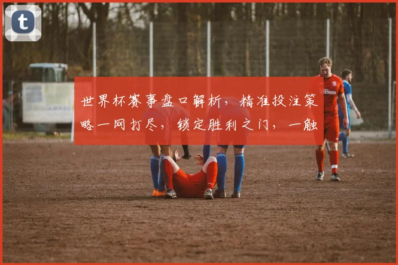 世界杯赛事盘口解析，精准投注策略一网打尽，锁定胜利之门，一触即发