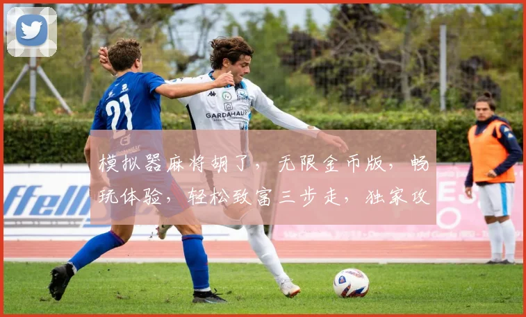 模拟器麻将胡了，无限金币版，畅玩体验，轻松致富三步走，独家攻略，必看