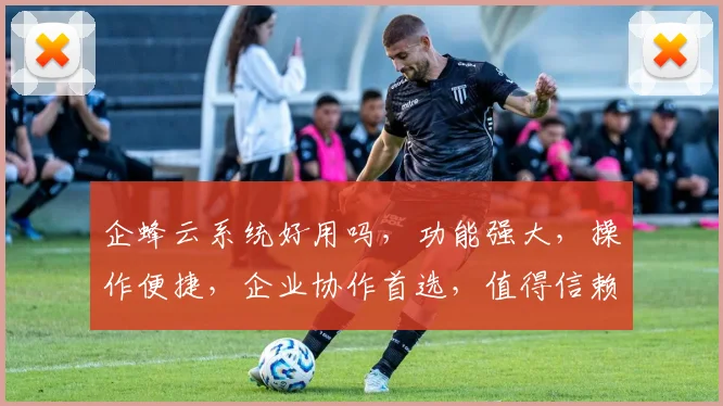 企蜂云系统好用吗，功能强大，操作便捷，企业协作首选，值得信赖，三重优势，不容错过，体验非凡