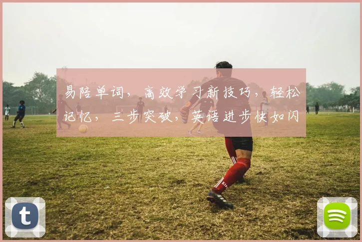 易陪单词，高效学习新技巧，轻松记忆，三步突破，英语进步快如闪电，必备神器